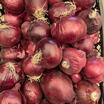 Mor Soğan (Organik Ve Yerel Tohum) - 2