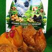 Buff Orpington Kuluçkalik Yumurta - 6