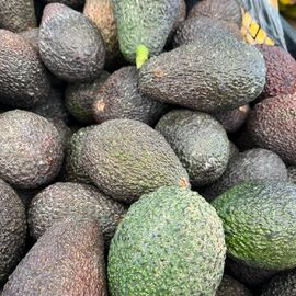 Organik Avokado