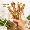 Hindiba Kökü Kahvesi 50G+50G 2 Li Avantajlı Paket - 3