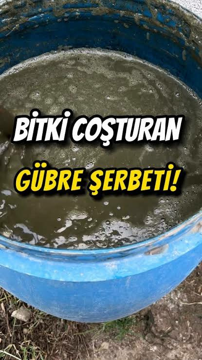 Gübre Şerbeti