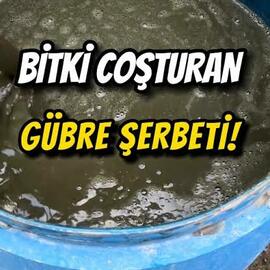 Gübre Şerbeti - ATA İLE OVA'NIN ÇİFTLİĞİ