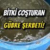 Gübre Şerbeti