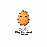 Bolu köy patatesi