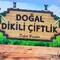 DOĞAL DİKİLİ ÇİFTLİK