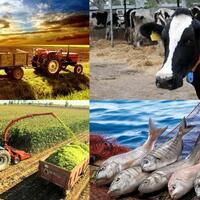 TARIMSAL VE HAYVANSAL ÜRÜNLER 