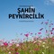 Şahin Peynircilik