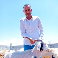 Çiftçigil Hayvancılık