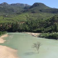 Çampınar Zeytinyağları