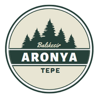 Aronya Tepe