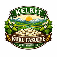 Kelkit şeker fasülyesi 