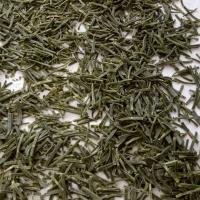 Fatma  Yıldırım turan 