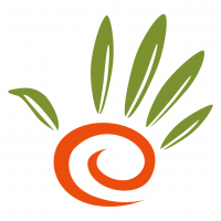 Kadınların Eliden  İç ve Dış Ticaret A.Ş.